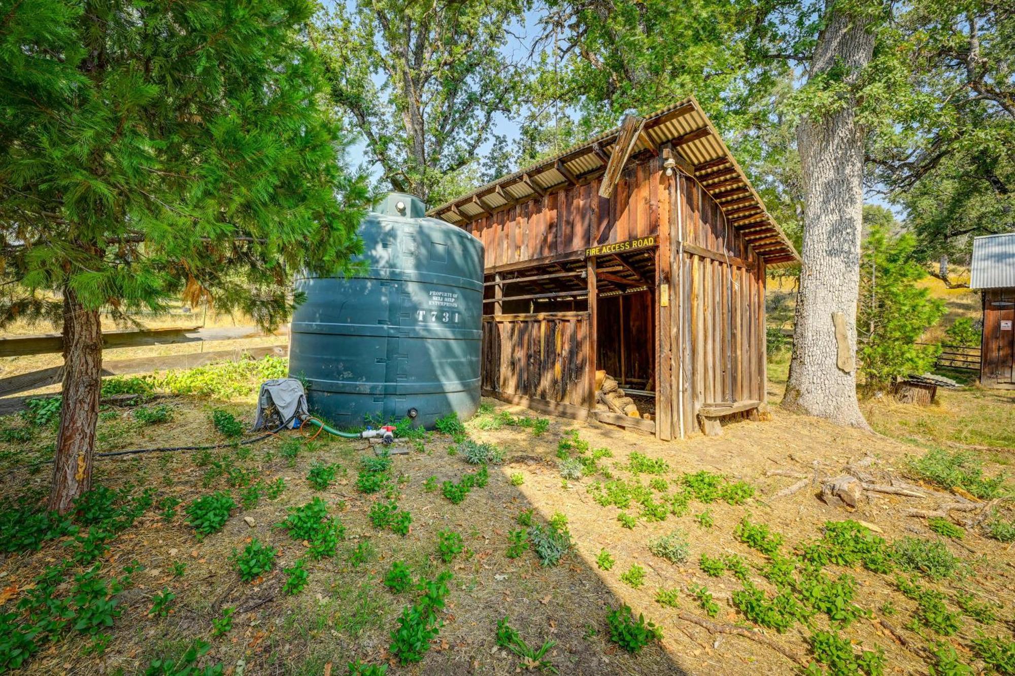 Cozy Family-Friendly Badger Retreat With Fireplace! Esterno foto